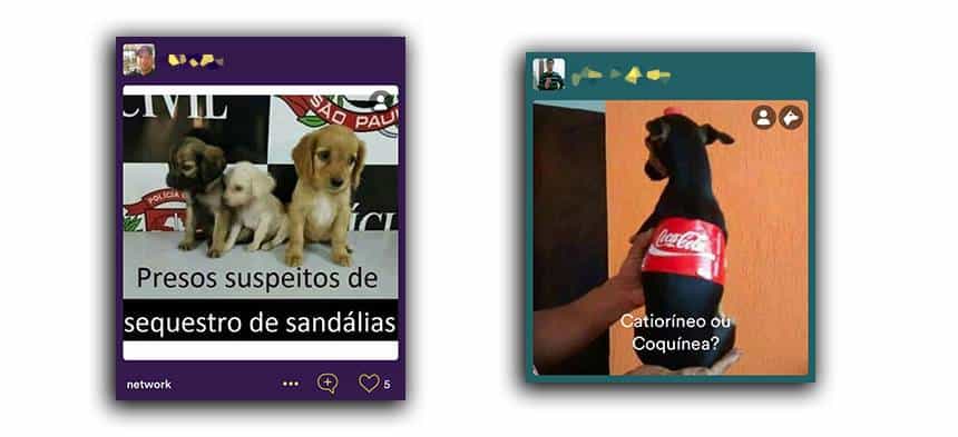 Reprodução