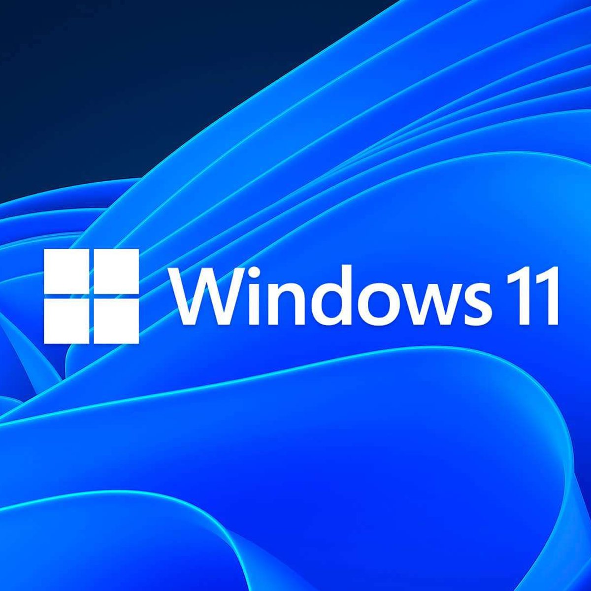 Windows 11