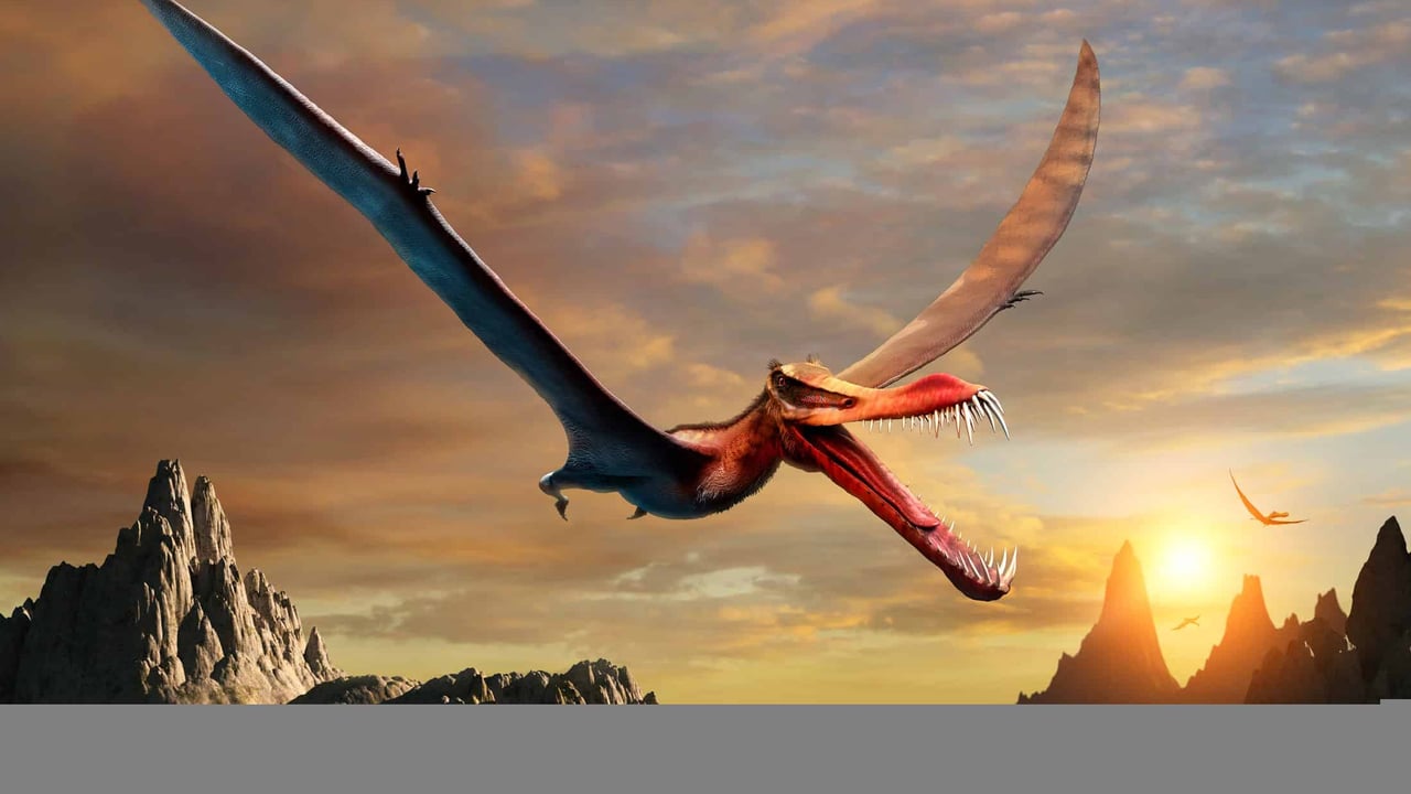 F&oacute;ssil de enorme dinossauro voador &eacute; descoberto na Austr&aacute;lia