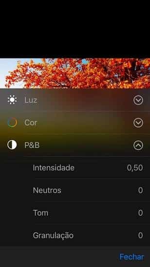 Reprodução