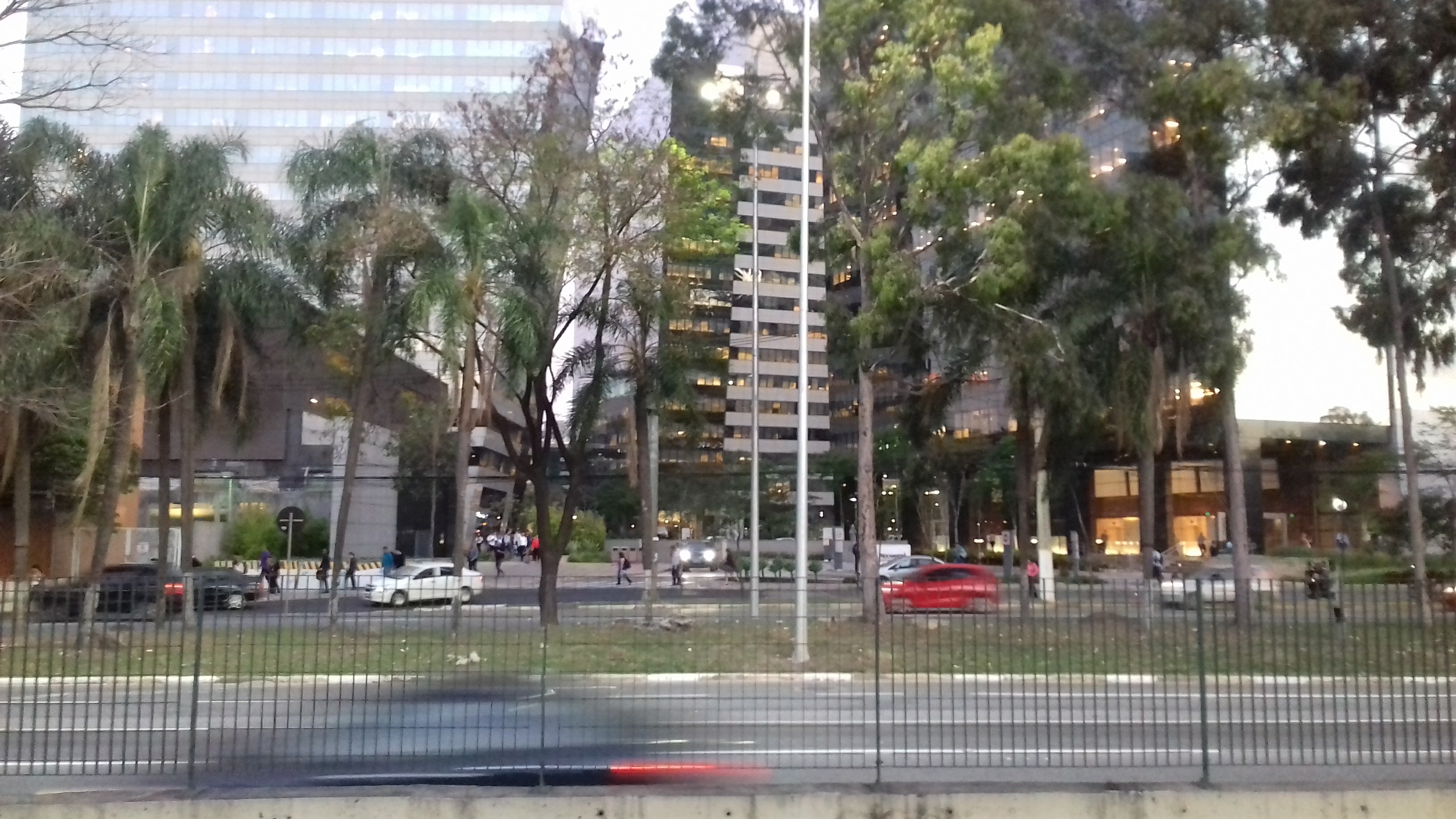 Reprodução