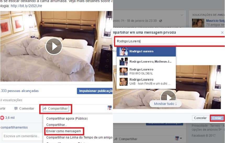 Reprodução