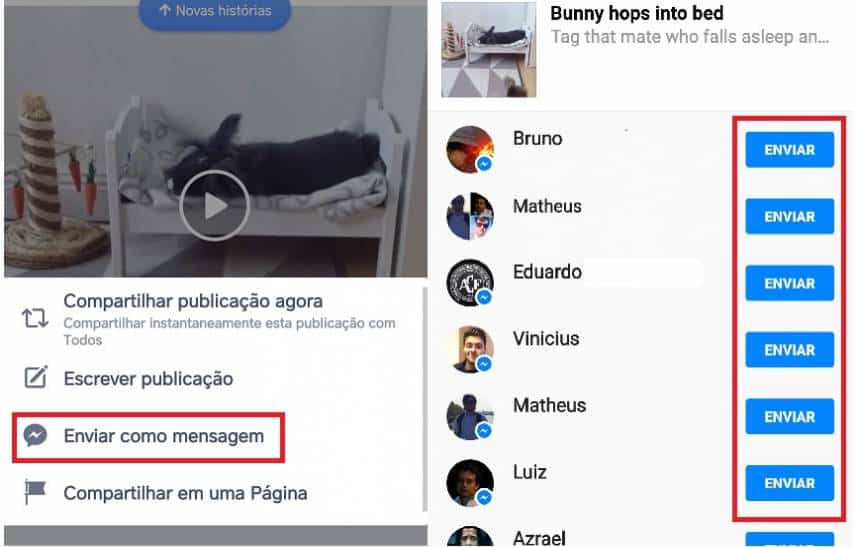 Reprodução