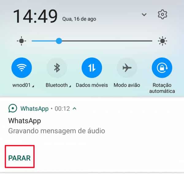 Reprodução