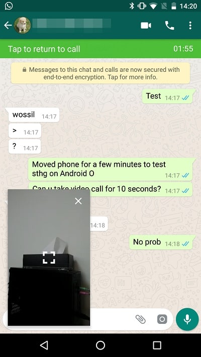 Reprodução