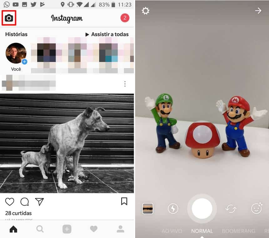 Reprodução