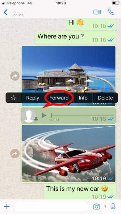Reprodução