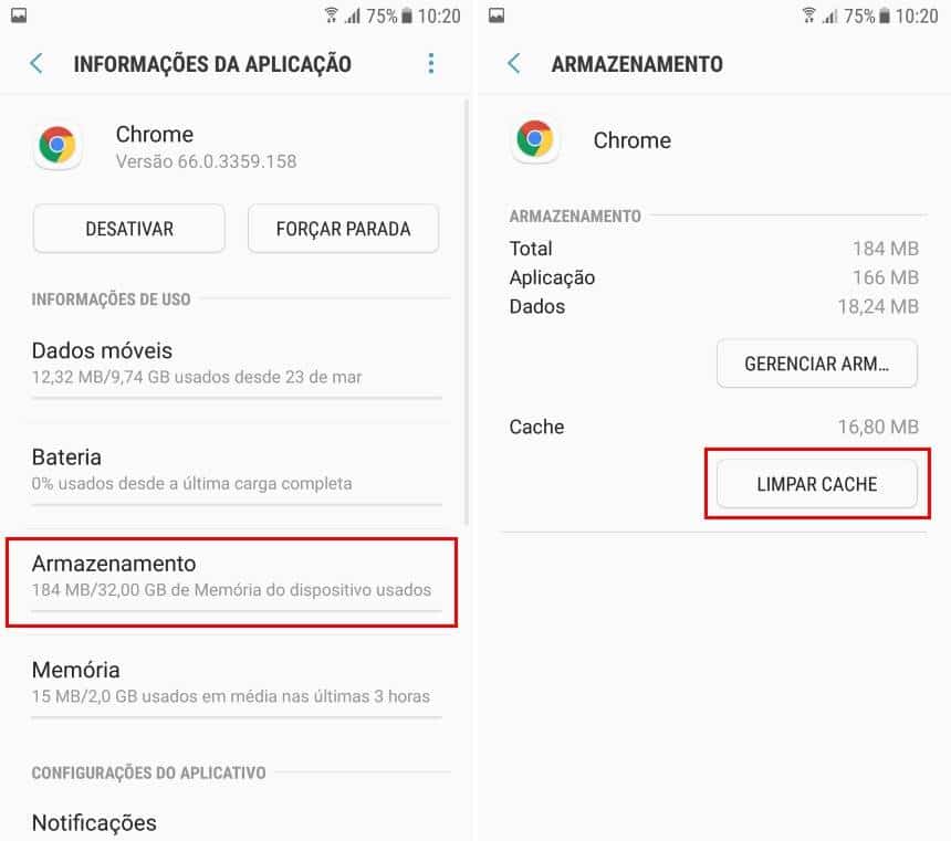Reprodução