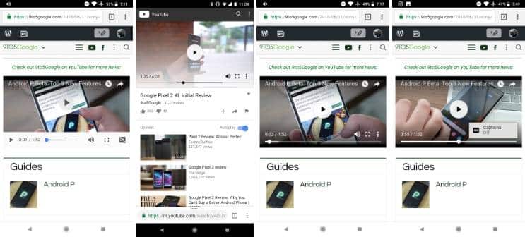 Reprodução