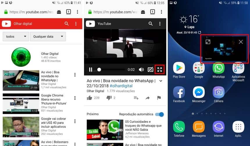 Reprodução