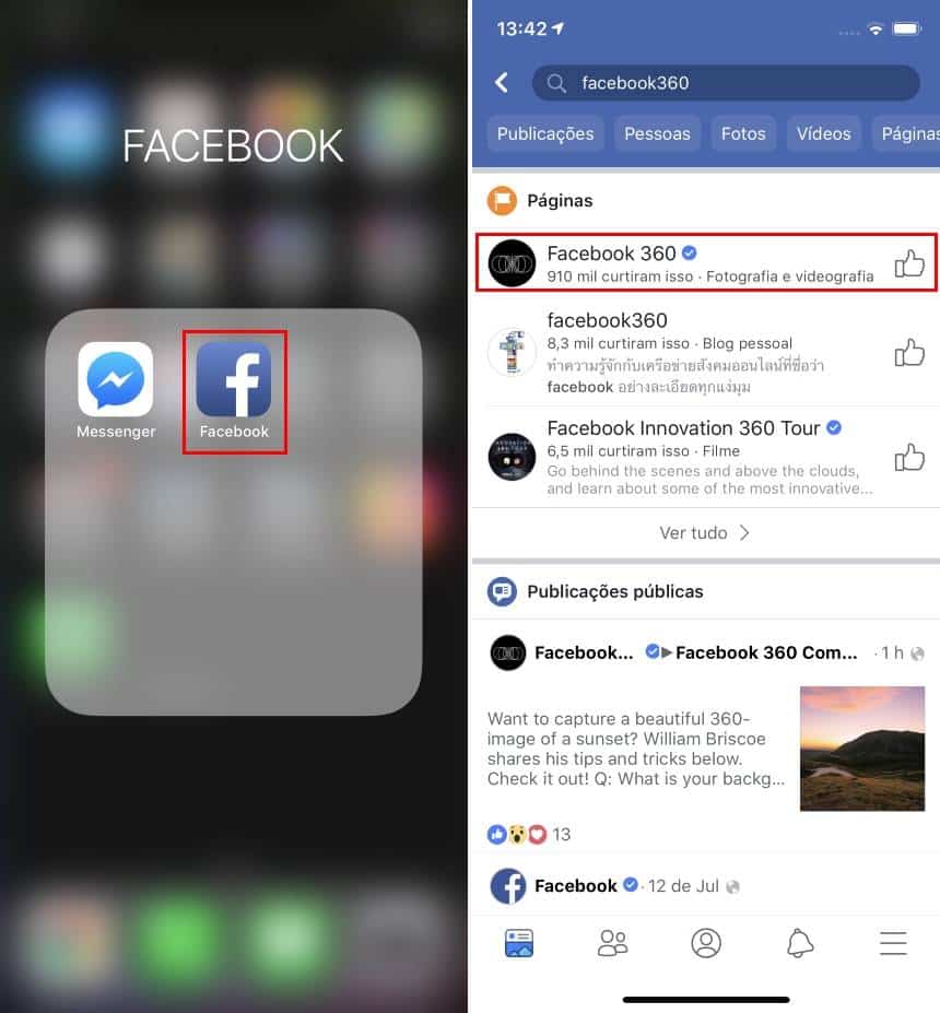 Reprodução