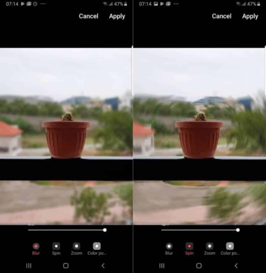 Reprodução