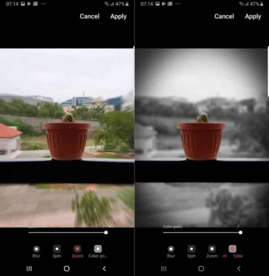 Reprodução
