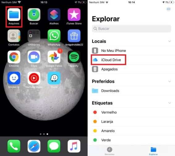 Reprodução