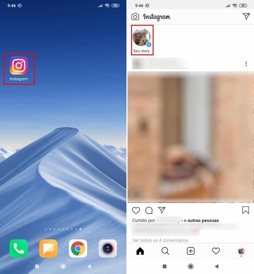 Reprodução