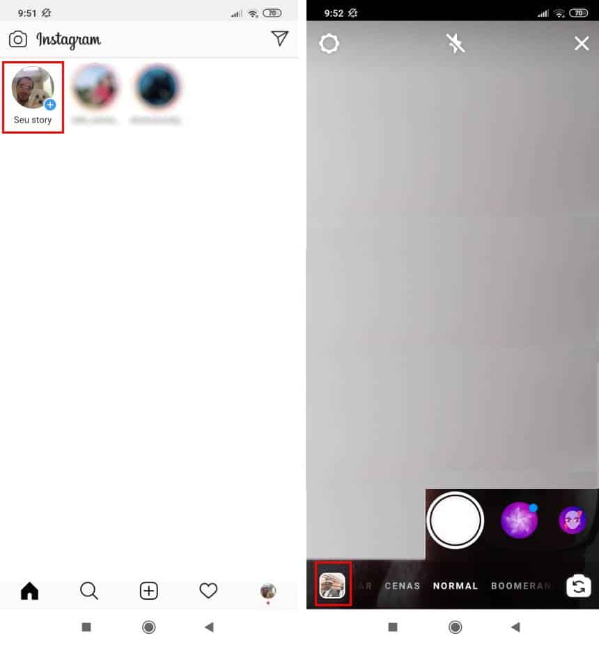 Reprodução