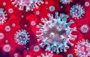 Soro hiperimune será testado contra a Covid-19
