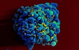 Cientistas revivem micróbios de 100 milhões de anos atrás
