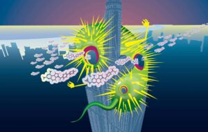 Cientistas descobrem bactéria que se alimenta de manganês