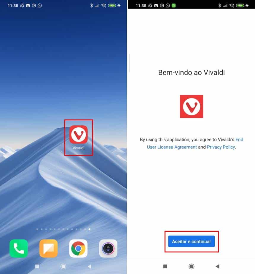 Reprodução