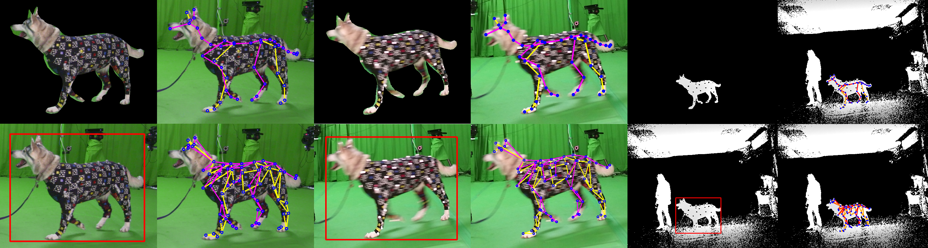 Reprodução