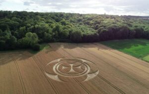 Plantação na França ganha desenho misterioso