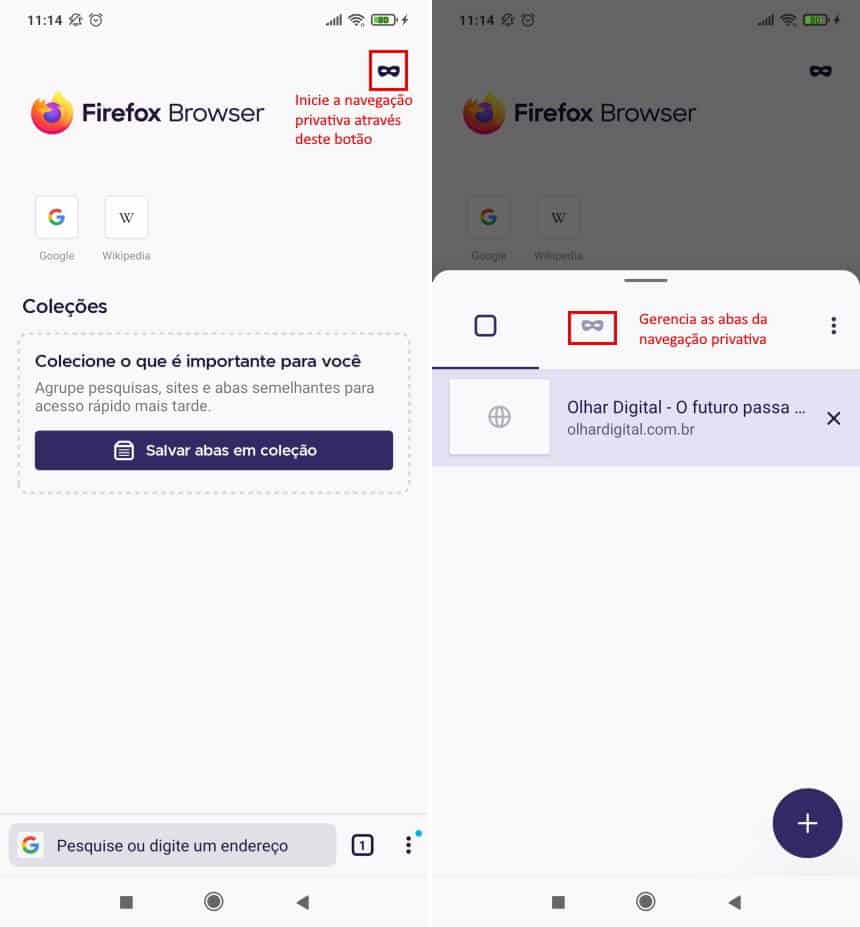 Reprodução