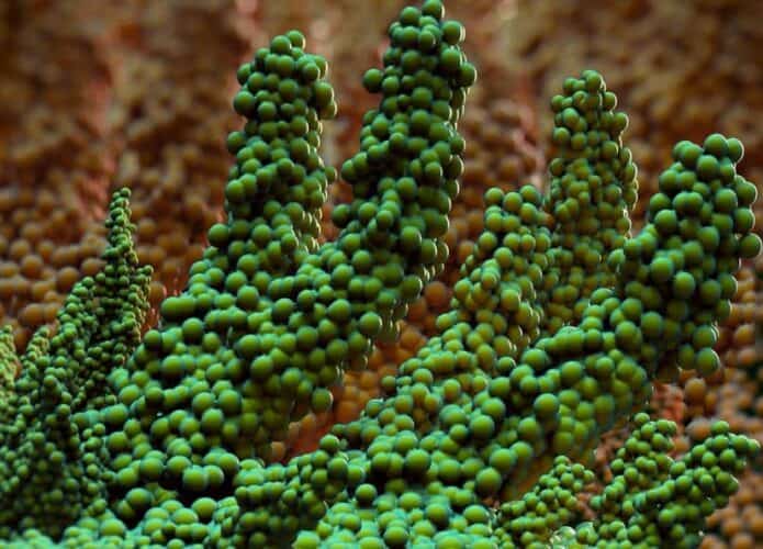 20201019014039-695x500