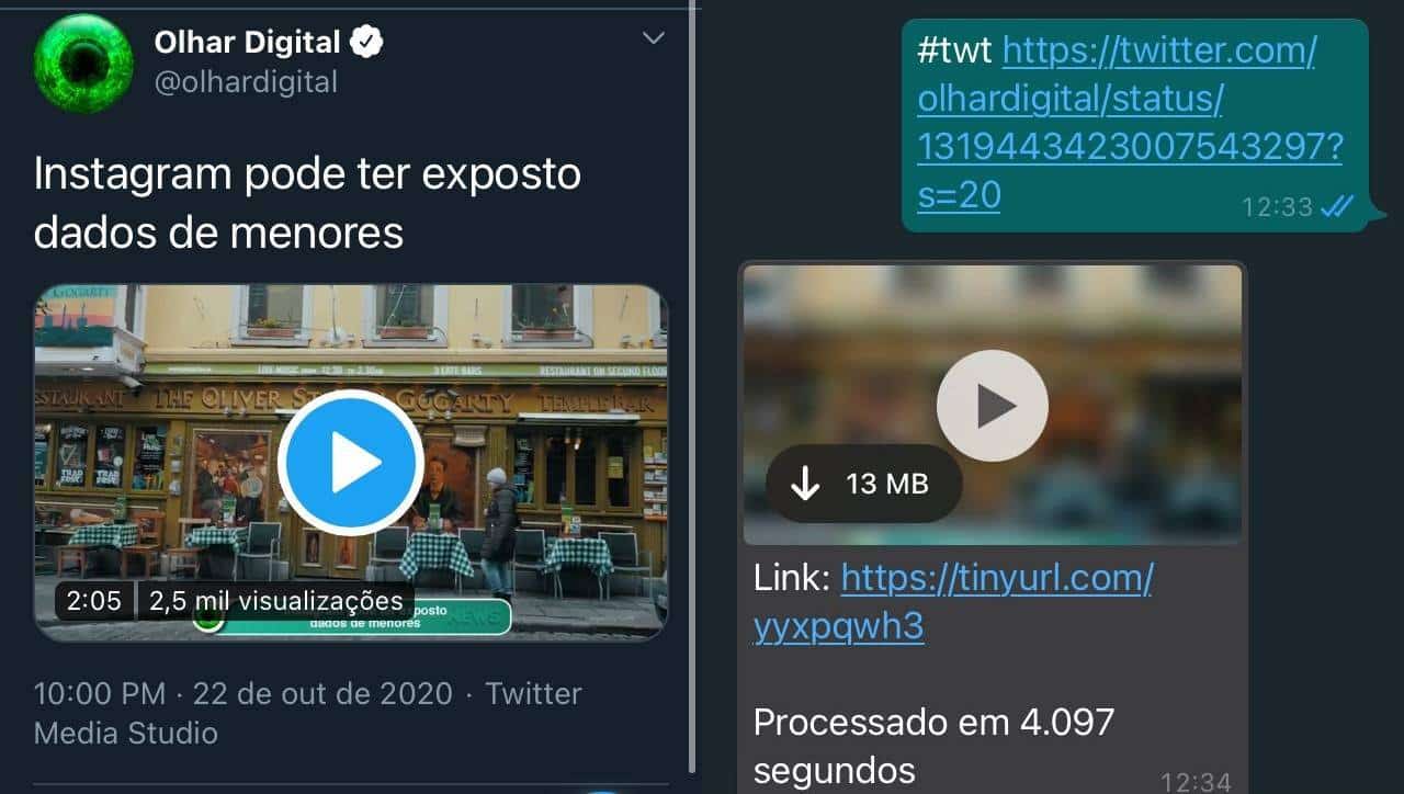 Reprodução