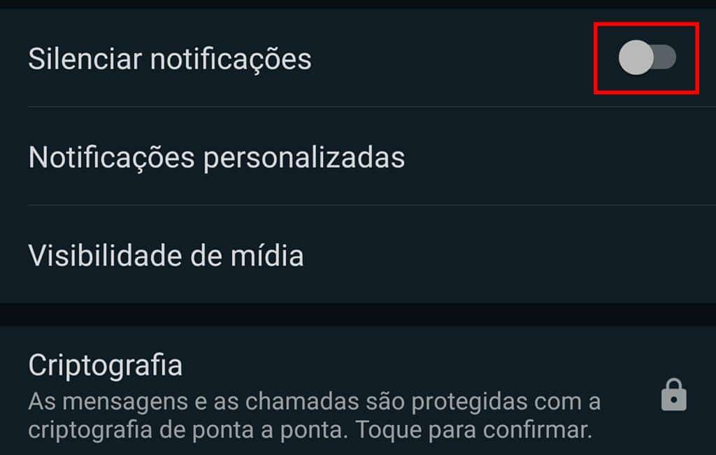 Imagem: WhatsApp/Reprodução