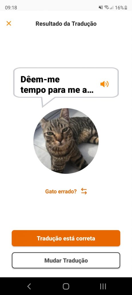 Como usar o MeowTalk
