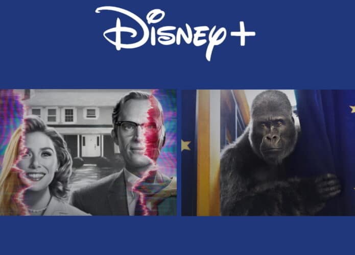 Lançamentos da Disney+ para janeiro
