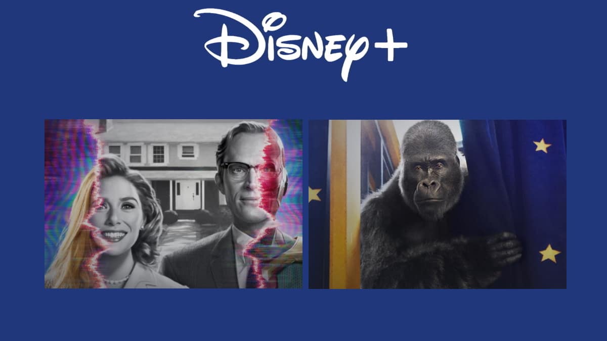 Lançamentos da Disney+ para janeiro