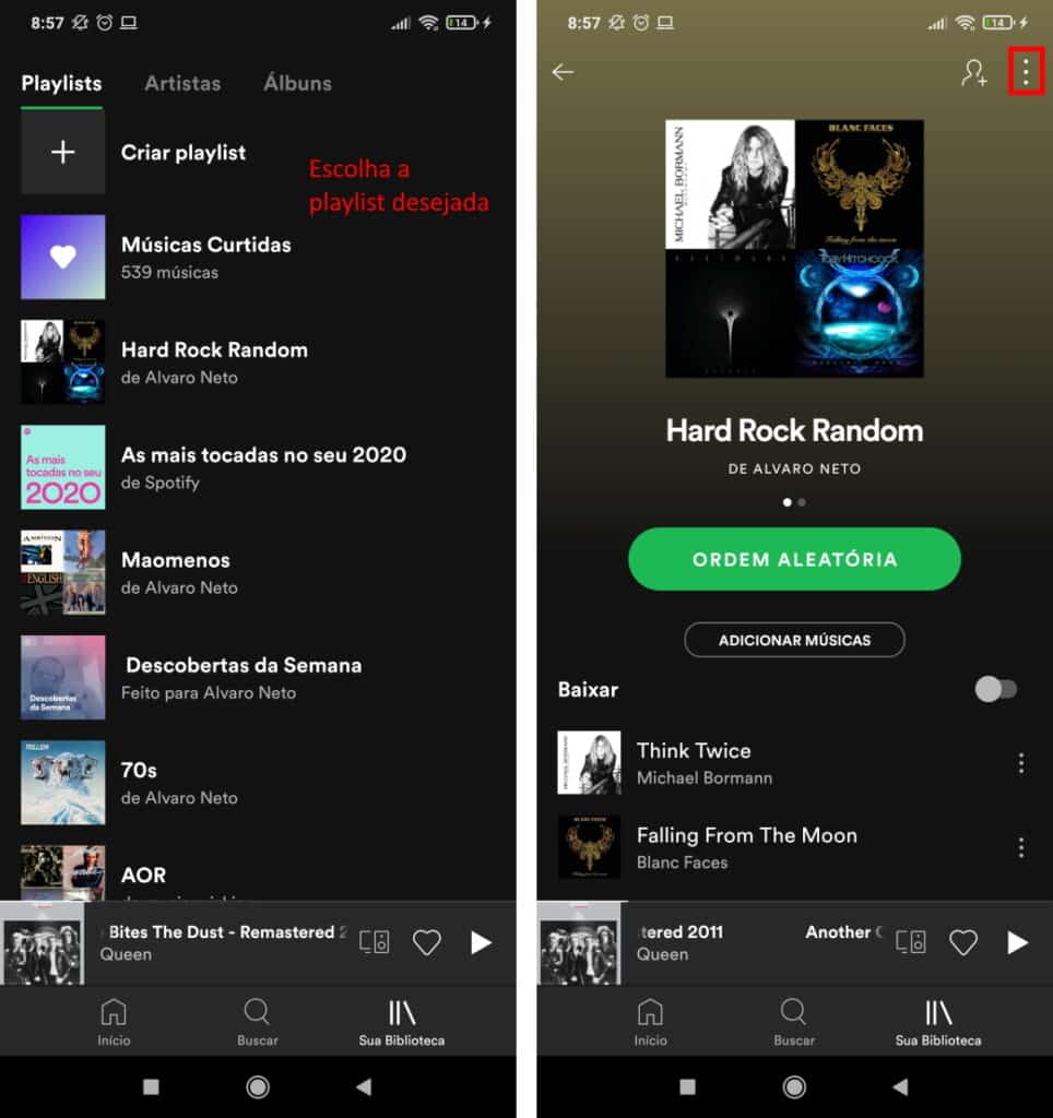 Como editar playlists do Spotify pelo celular - Passo 2