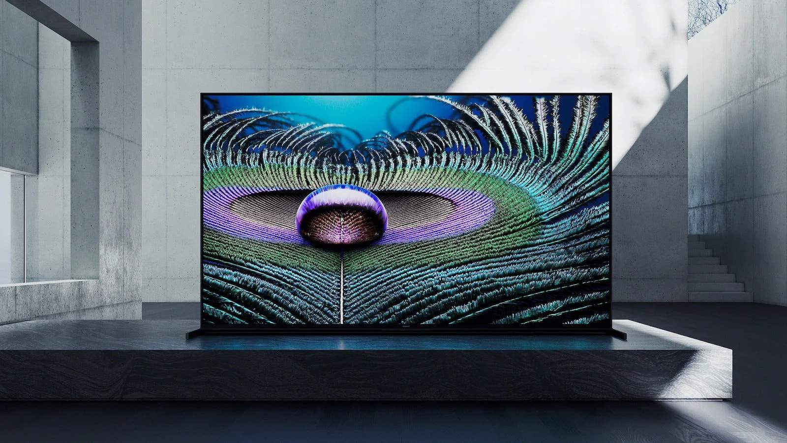 Sony BRAVIA Z9J