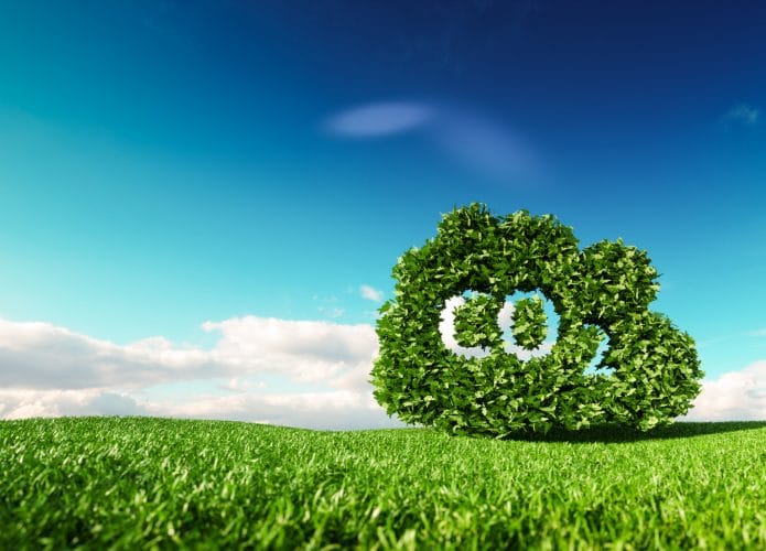 Folhas de uma árvore em um campo verdejante formam a palavra CO₂
