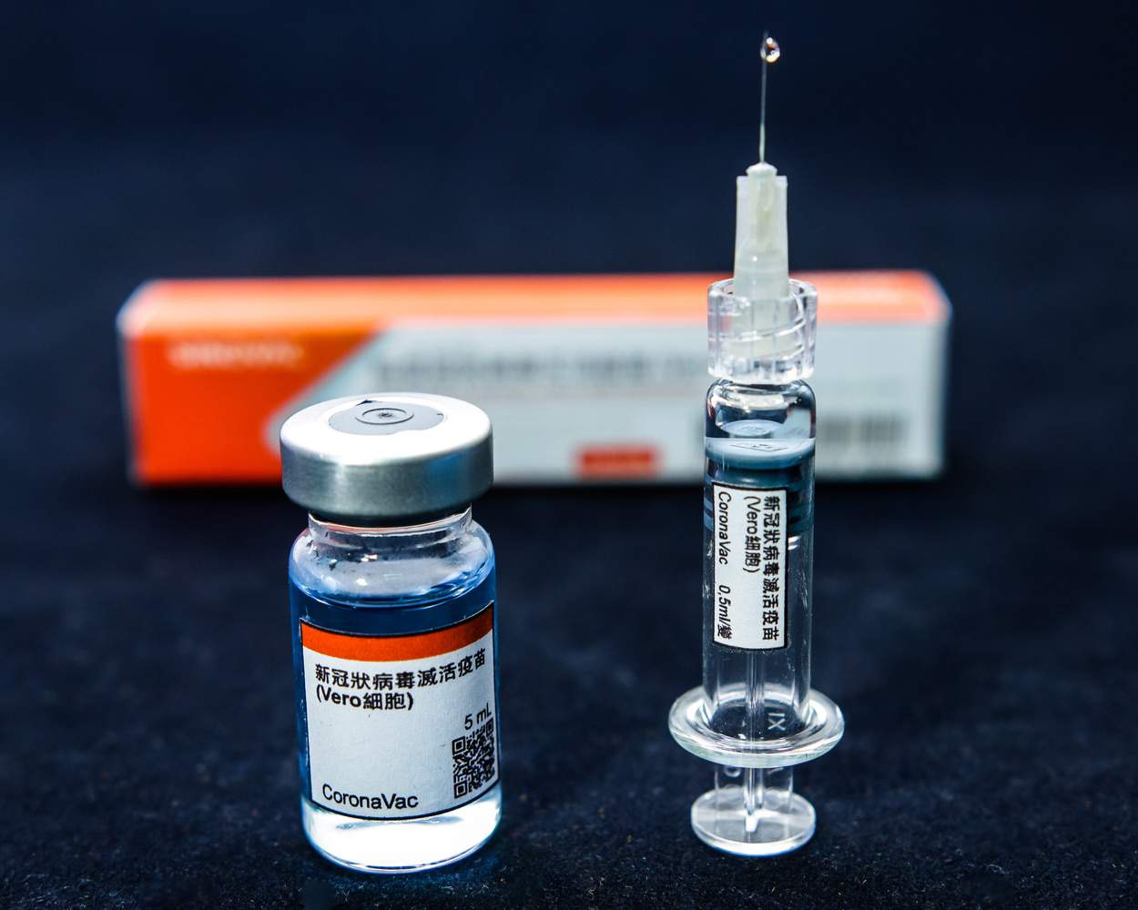Vacina e seringa com doses do imunizante CoronaVac