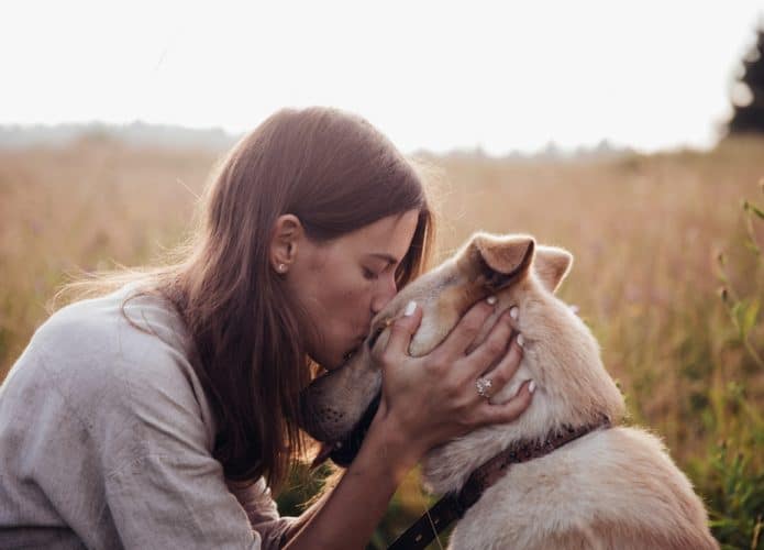 Human and a dog