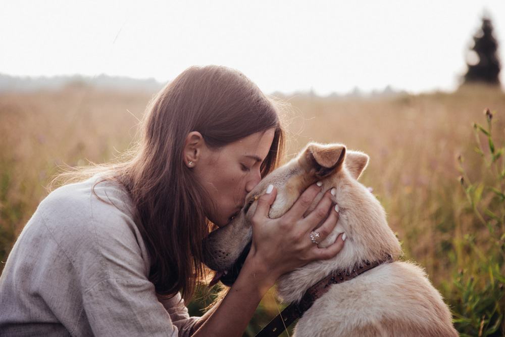 Human and a dog