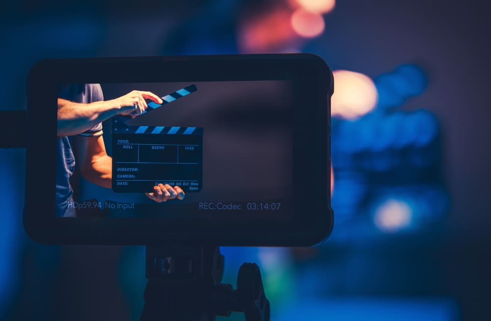 Film Production Reference Monitor