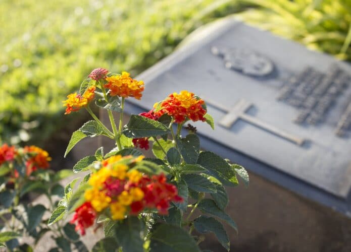 shutterstock_573694621-695x500