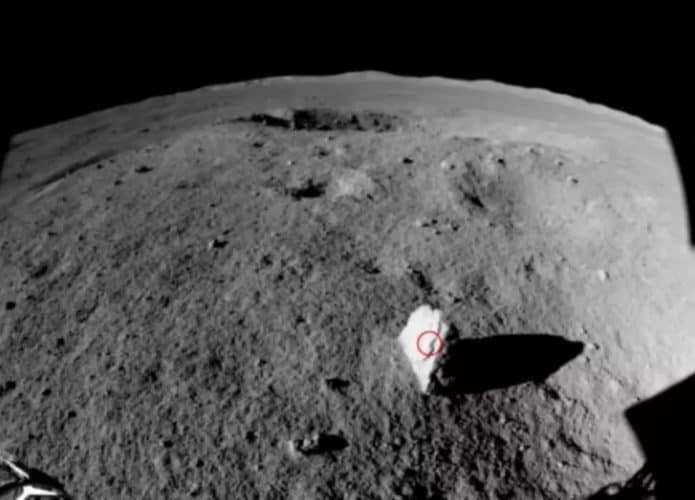 Lua_Yutu_Milestone-1-695x500