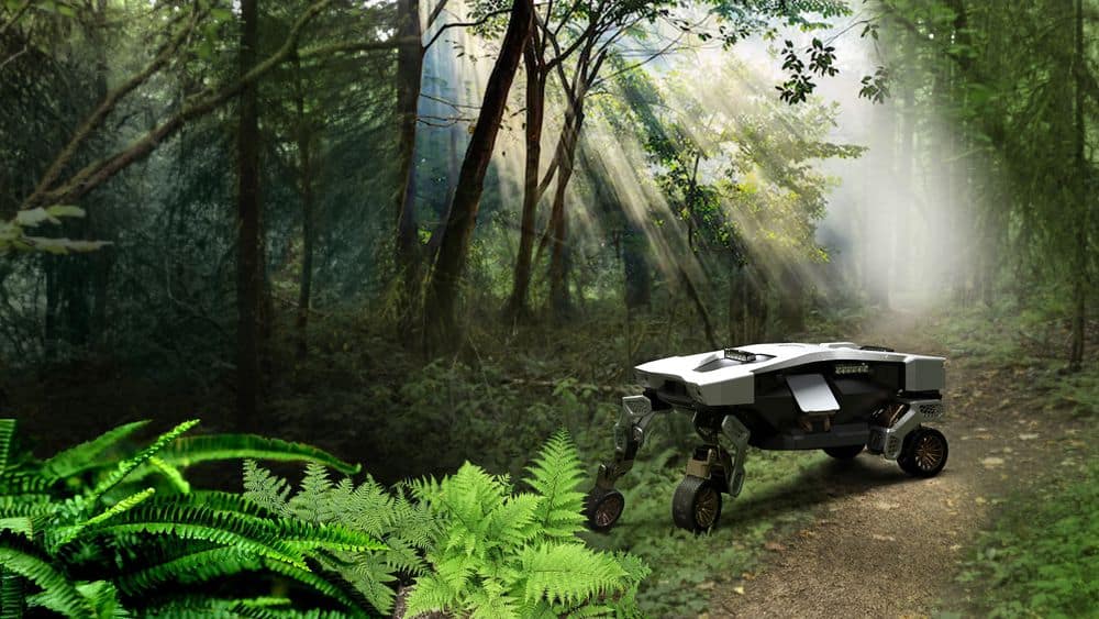 TIGER_Concept_in_Forest