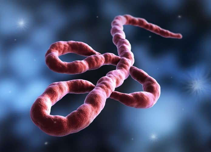 Vírus do Ebola