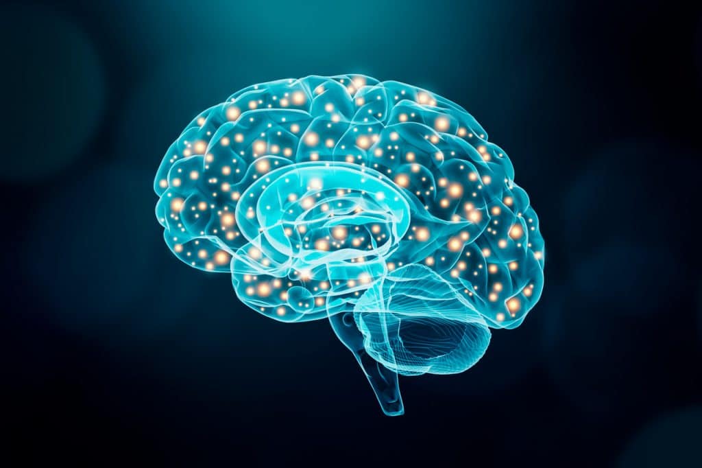Atividades cerebrais e cognitivas do cérebro