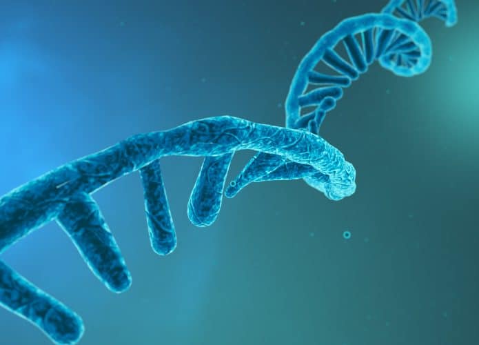 mRNA