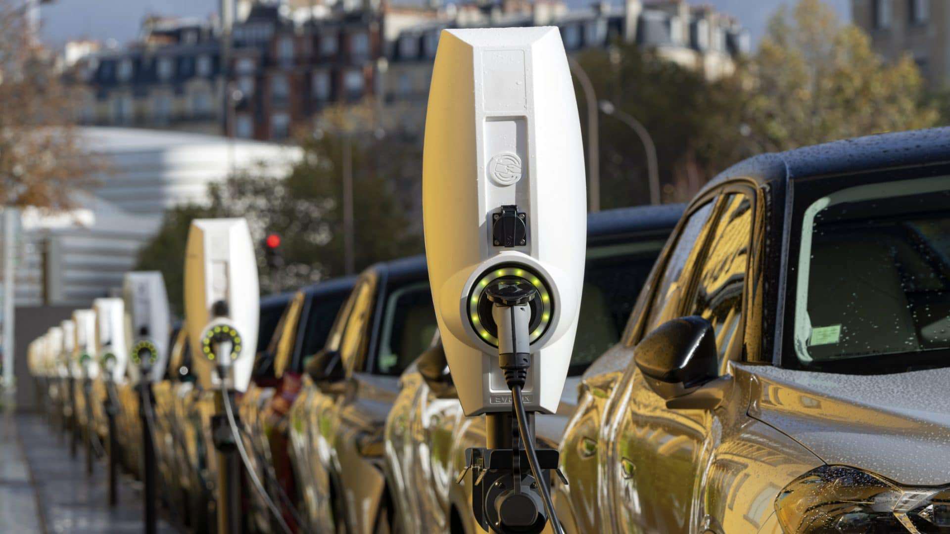 Carros elétricos estacionados em fila, em pontos de recarga