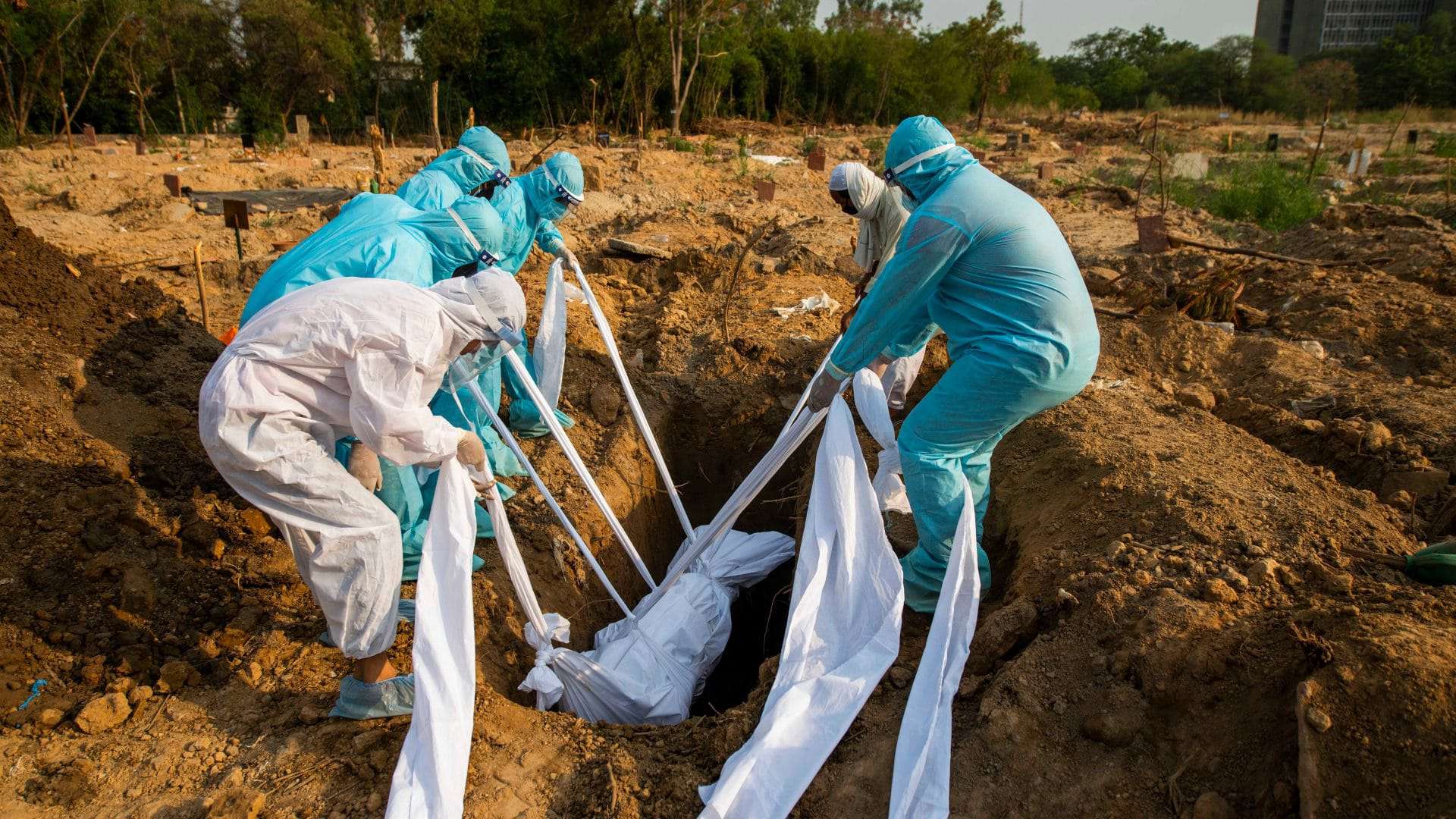 Mortes no Brasil por Covid-19. Imagem: PradeepGaurs / Shutterstock.com