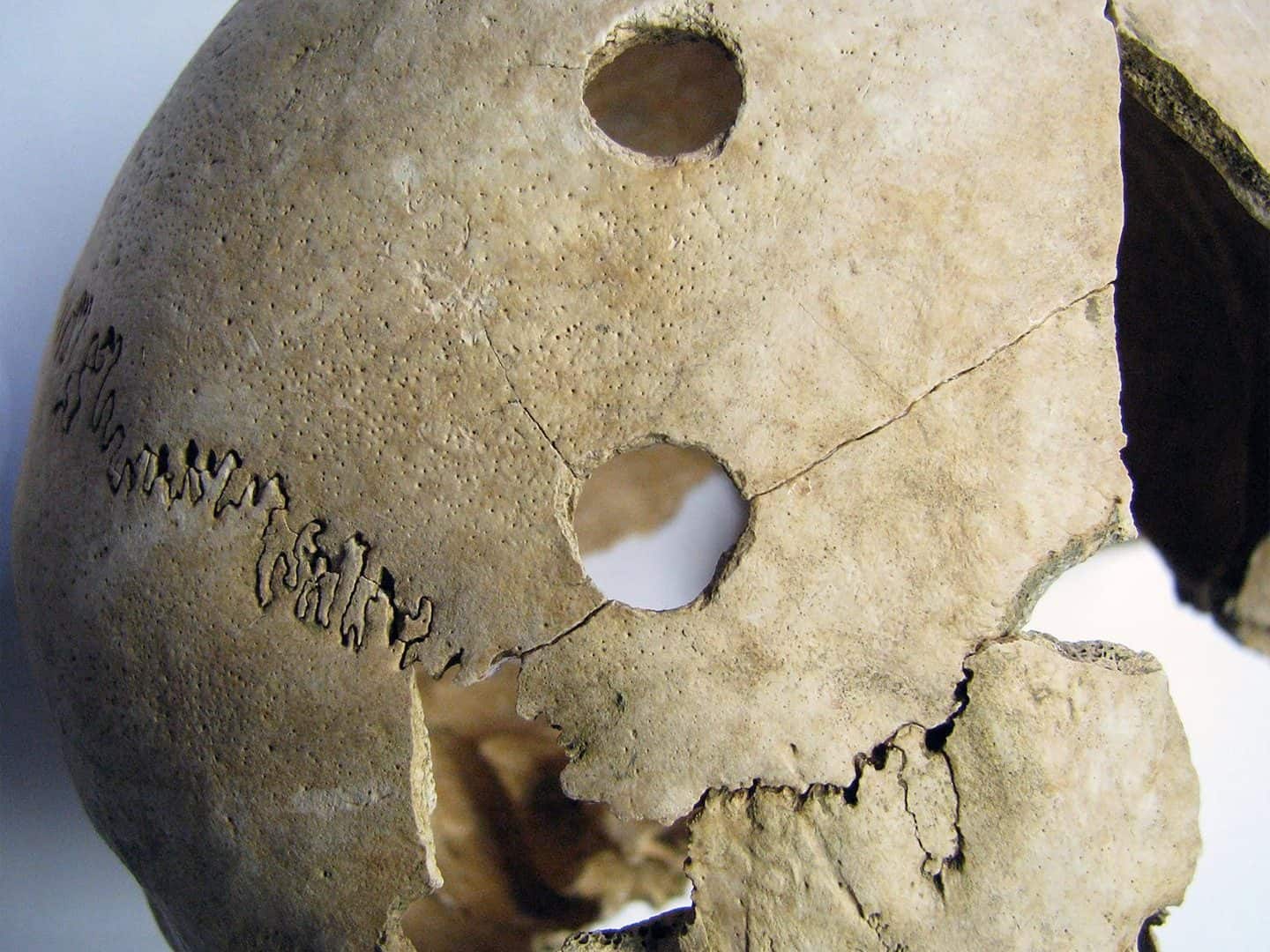 Arqueólogos encontram restos de massacre na Croácia. Imagem: Jacqueline Balen/Museu Arqueológico de Zagreb