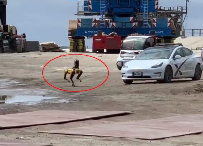 Zeus, cão robô da SpaceX baseado no Spot, da Boston Dynamics